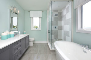 Model Home Bathroom View