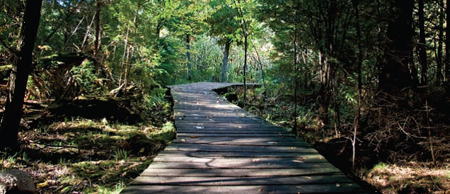 The Highlands of Millbrook to Connect with Trail System