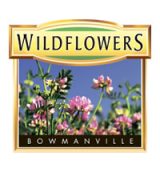 wildflowers-logo